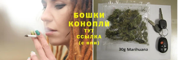 индика Каменка